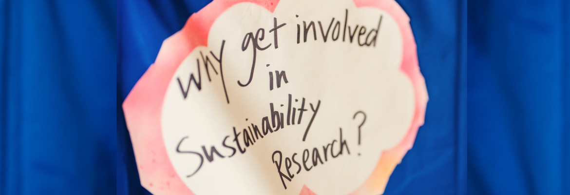 Why get involved in Sustainability research?