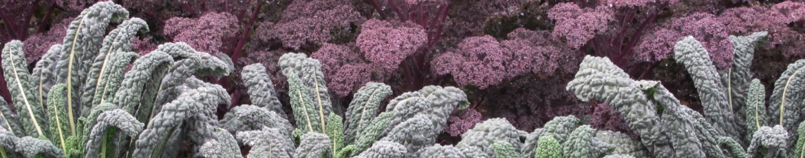 Kale