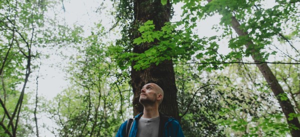 Dr Stephen Parnell outdoors looking up at the trees in the woods