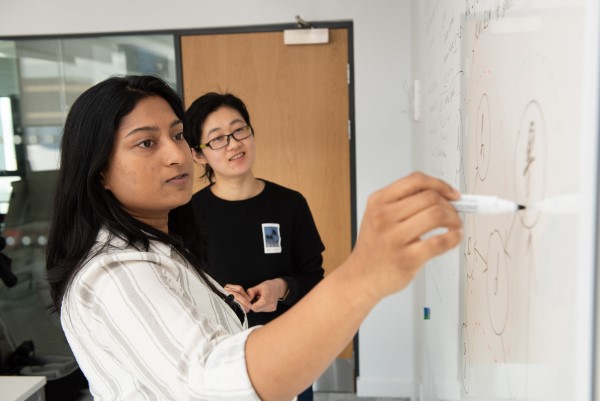 Two people using a whiteboard