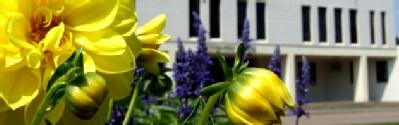 Flowers in front of Senate House