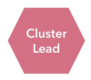 Title - Cluster Lead