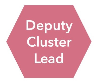 Title - Deputy Cluster Lead