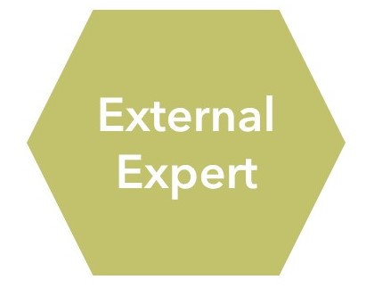 Title - External Expert
