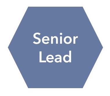 Title - Senior Lead