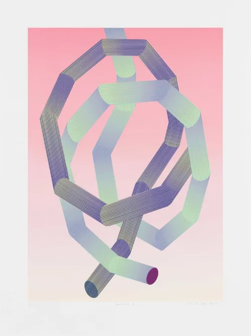 Picture of coloured pipes by Eva Rothschild