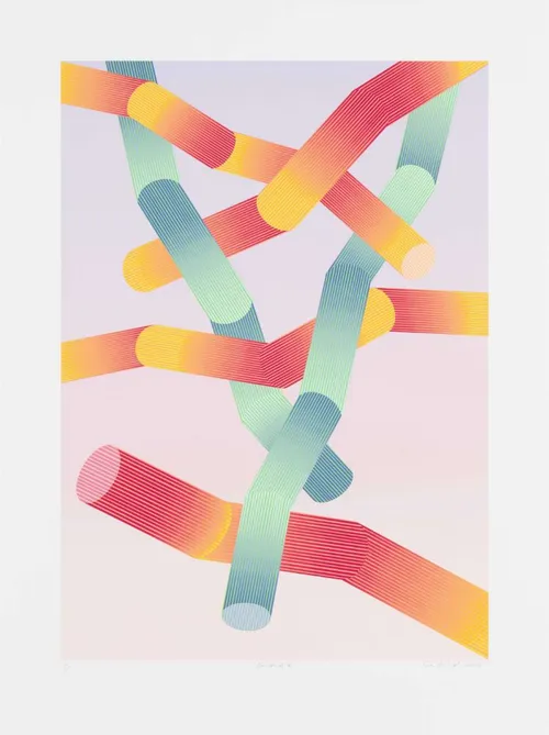 Print of coloured pipes by Eva Rothschild