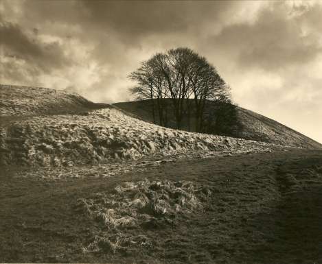 Clump In Hollow, Summerhouse Hill by Fay Godwin