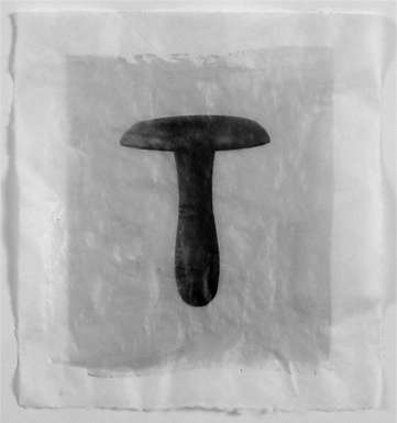 Icon II/XXVII Darning Mushroom II by Gary Kirkham