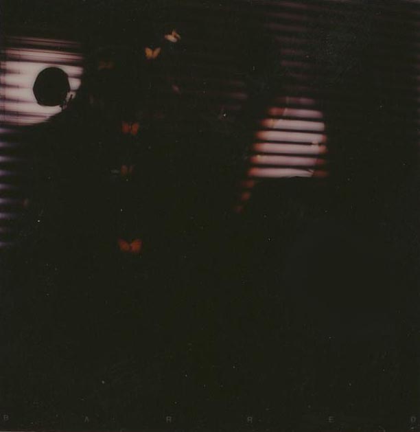 Study for Barred (I) by John Hilliard