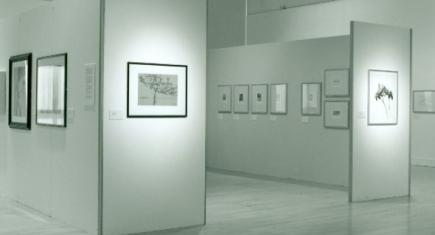 Nineteen Greys Exhibition