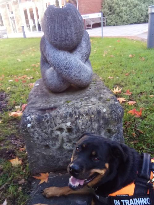 Bramble the Rottweiler on a recent visit to campus