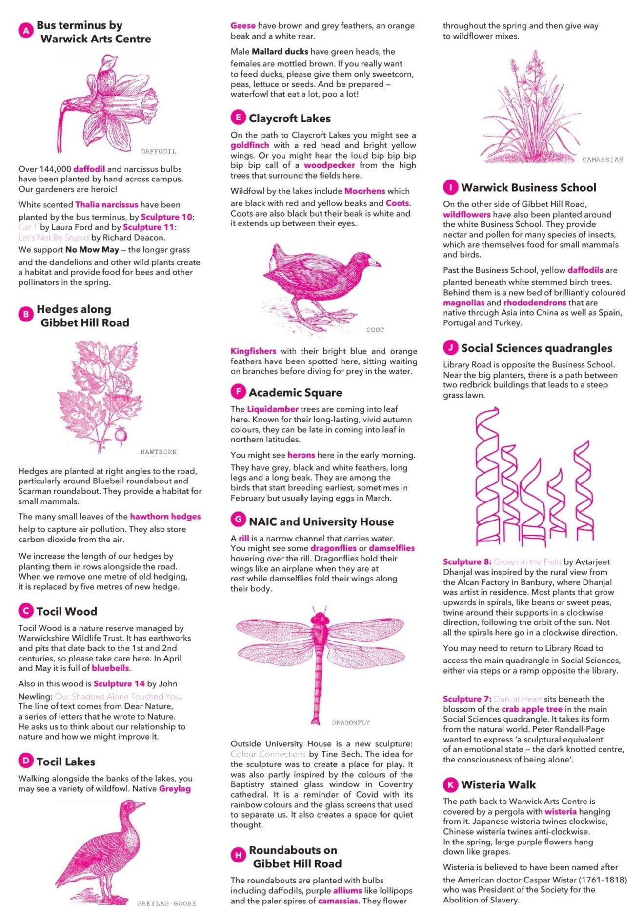 Information page to accompany the mapped route