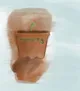 Blurred painting of a plantpot with a green shoot captioned growing