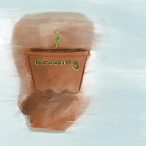 Image of a small seedling in a pot labelled 'growing'