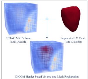 The 3DTag MRI volume, and segmented LV mesh.