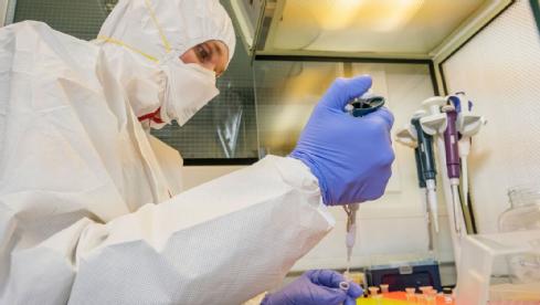 Dr Logan Kistler testing DNA of Maize at the University of Warwick