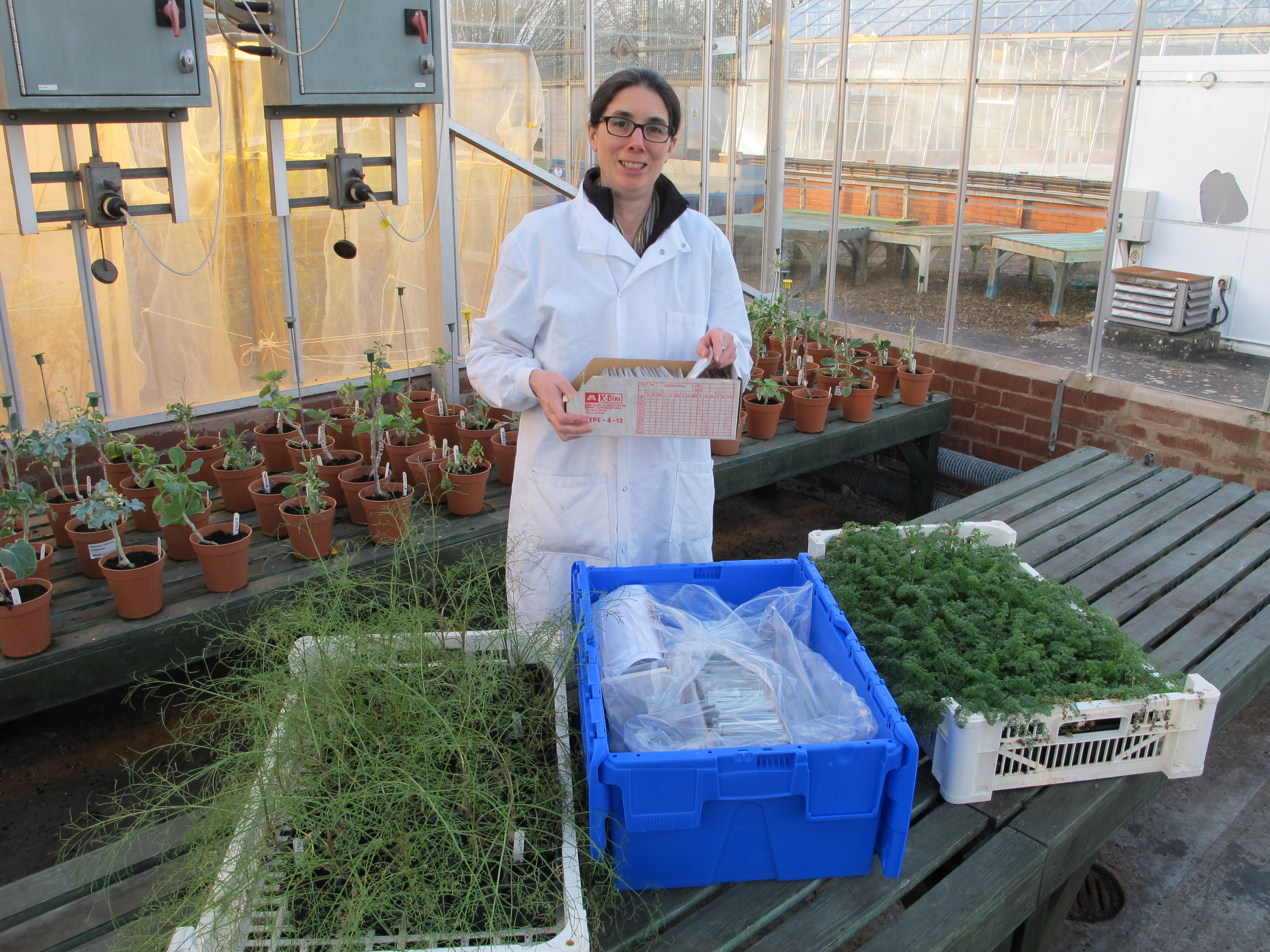 Dr Charlotte Allender with the crops and one of the boxes