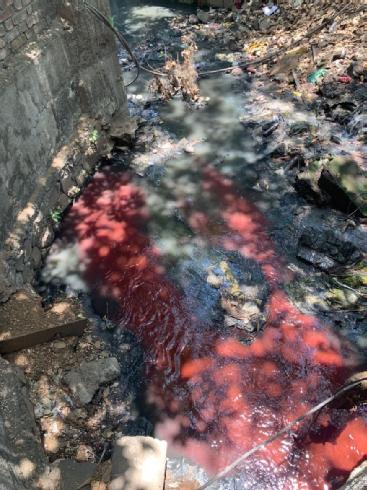Dye mimics the movement of pollution in water in the Thane catchment of Mumbai