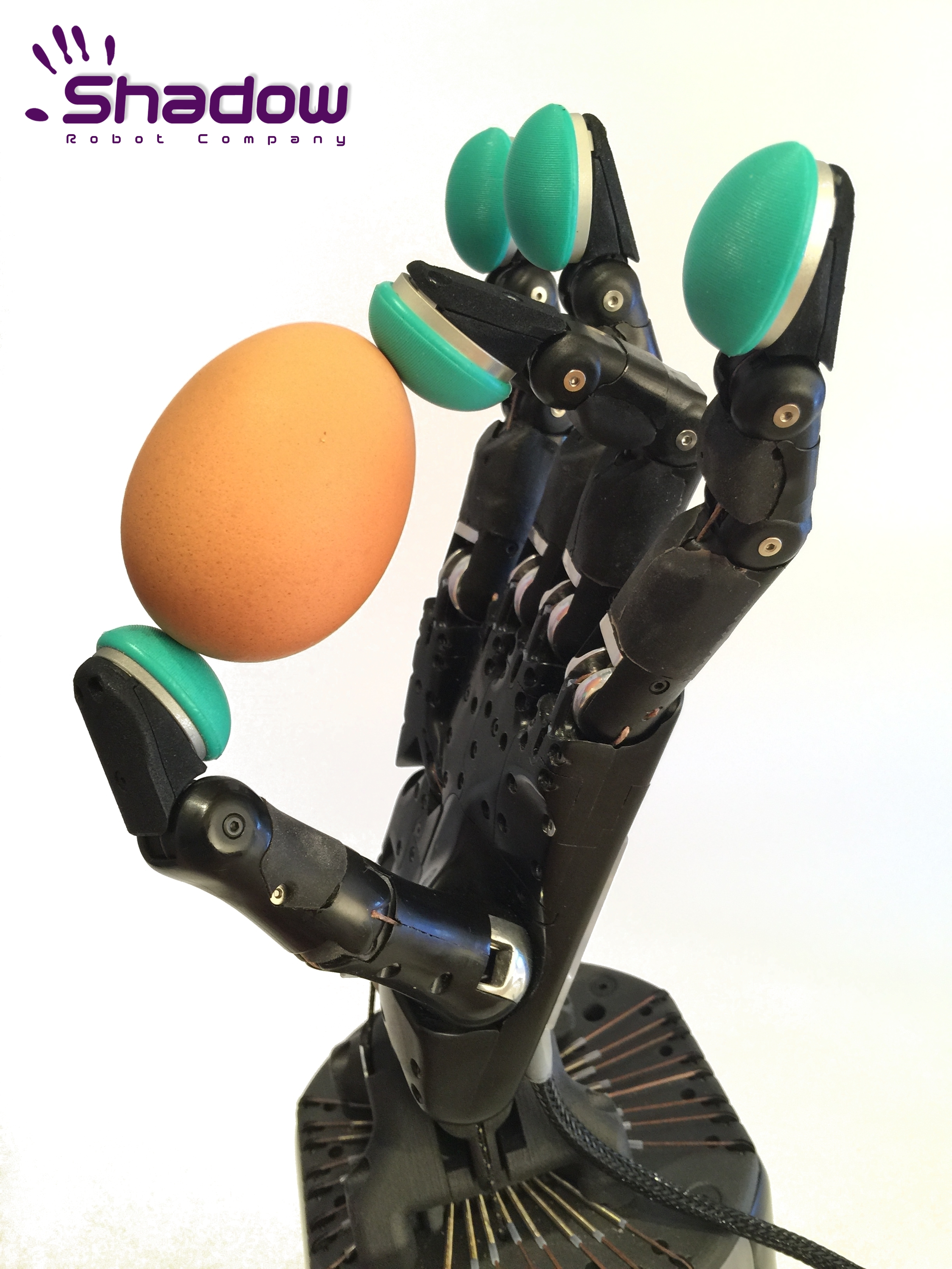 Newswise: Robot hands one step closer to human thanks to WMG AI algorithms