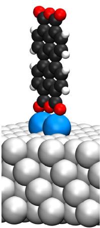 Caption: Three-dimensional model of the standing PTCDA molecule (black, carbon atoms; red, oxygen atoms; white, hydrogen atoms) on two Ag adatoms (blue) on the Ag(111) surface (gray) Credit: University of Warwick