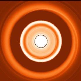 Dust density rendered simulation image of the disc - white circle is inner dust ring