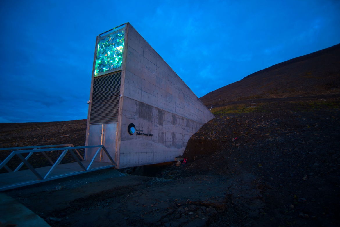 Newswise: Arctic's Global Seed Vault to receive 1000 types of seeds from Warwick's Vegetable Genebank