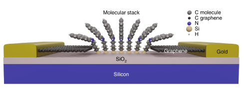 Researchers resolve catch 22 in graphene based molecular devices 
