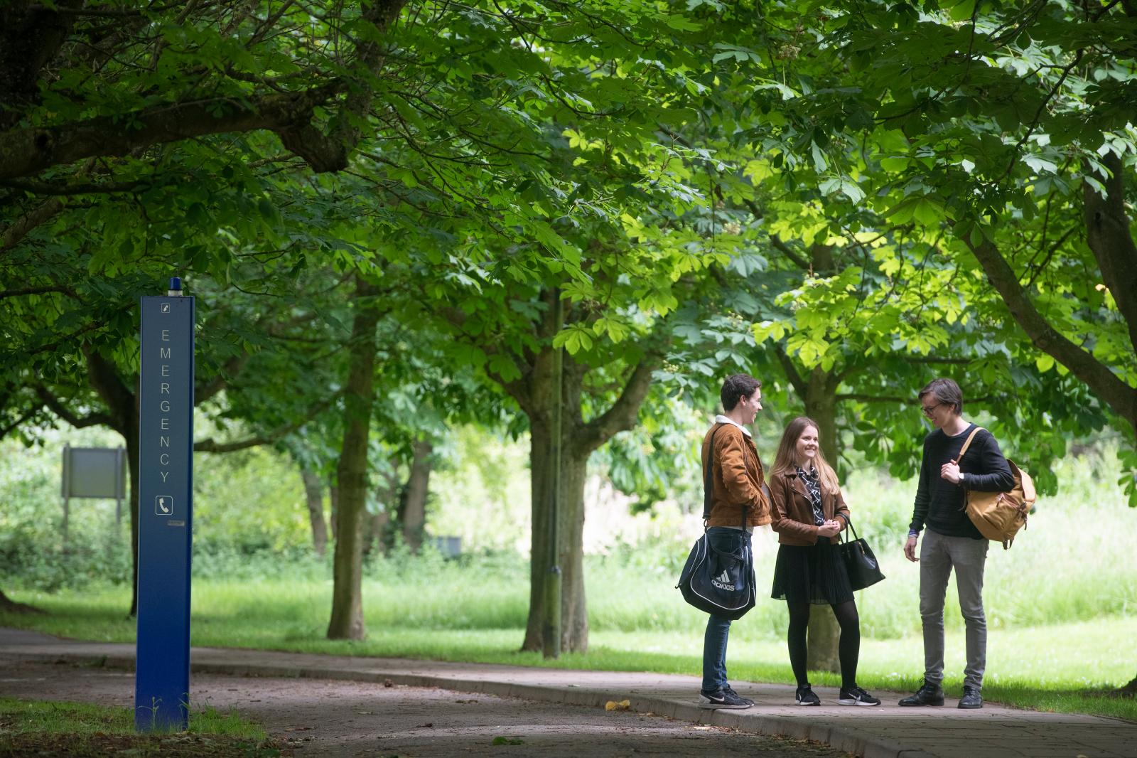 Students talking outside by trees