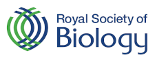 RSB logo