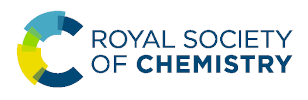 RSC logo