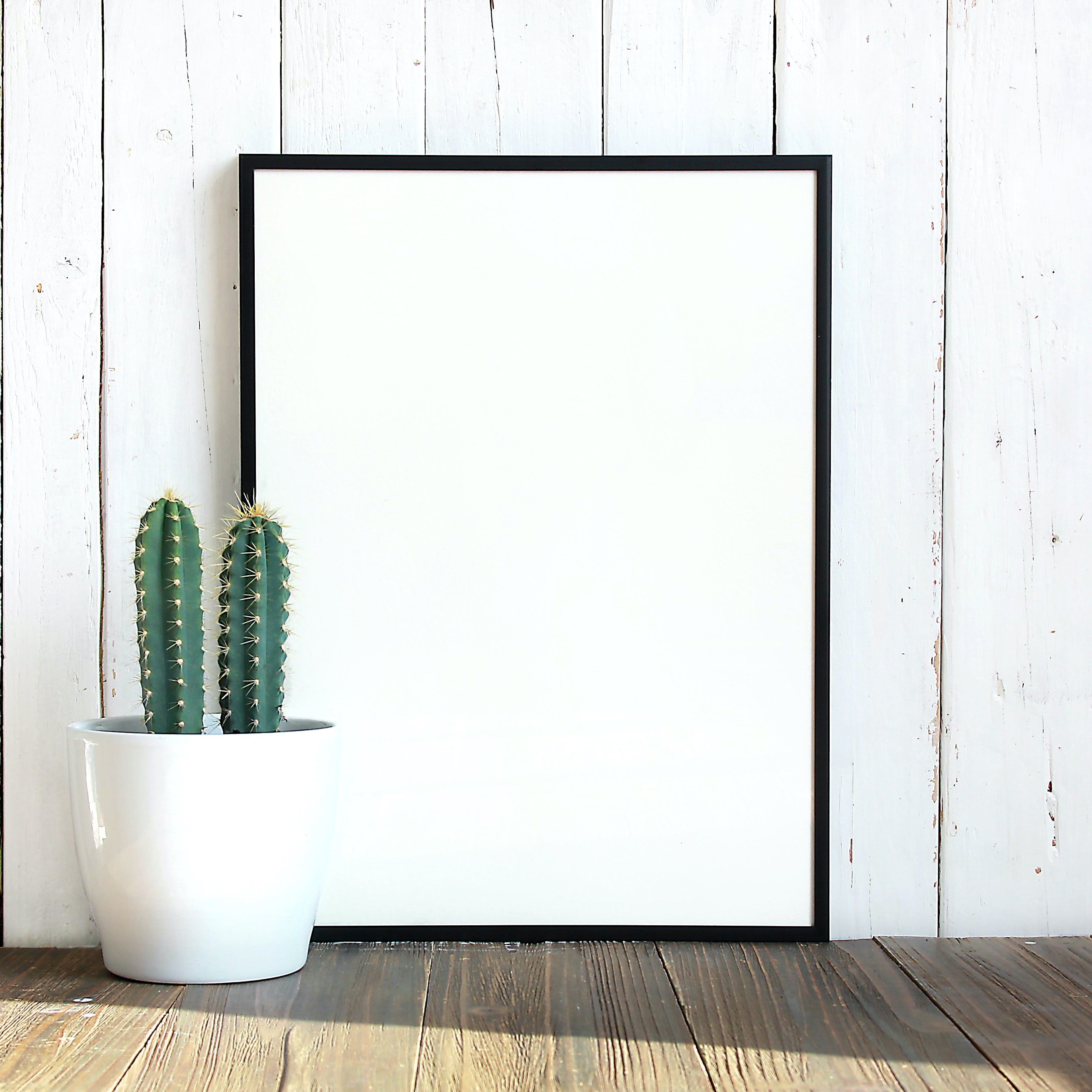 White board and plant pot