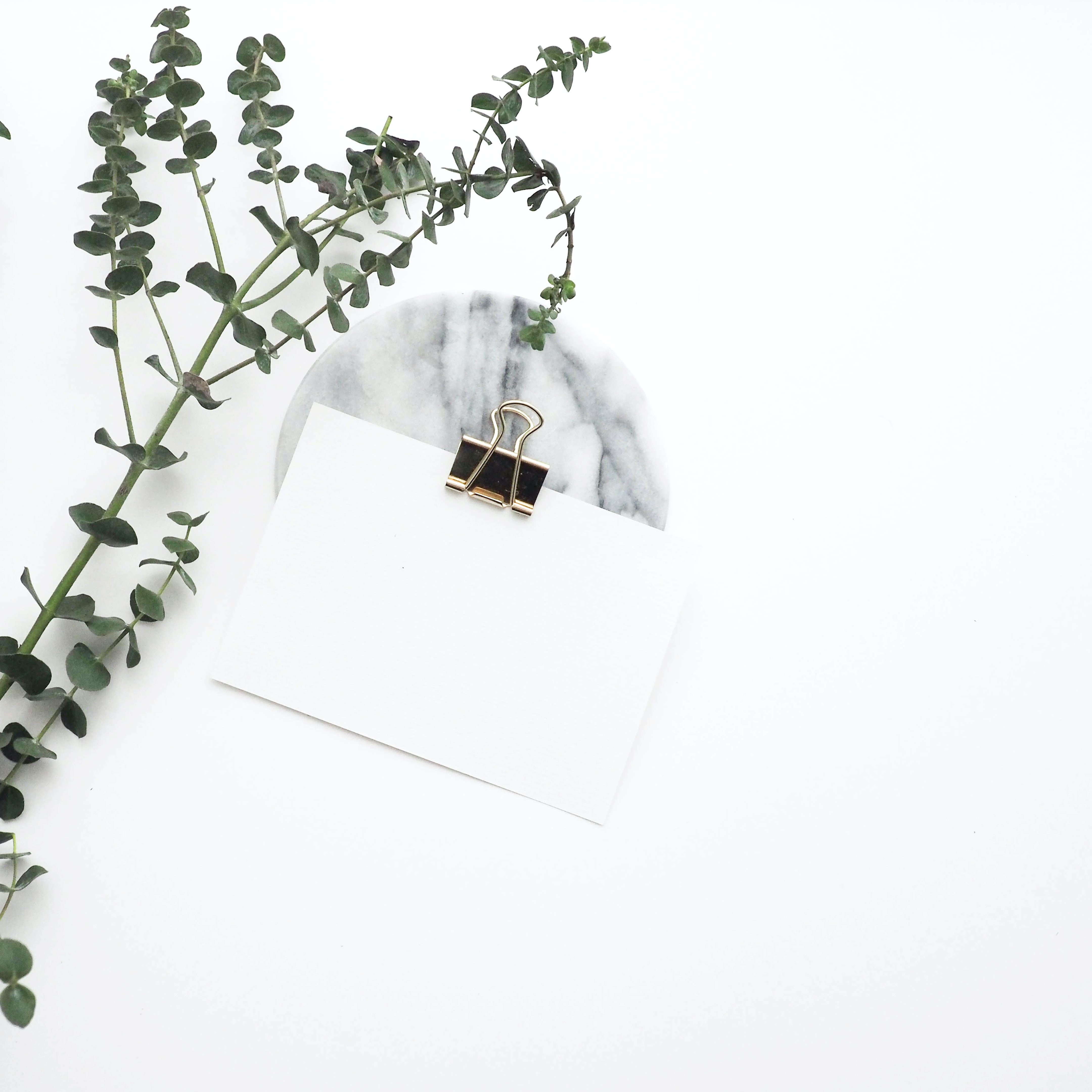 Leafy branch and notes on white background