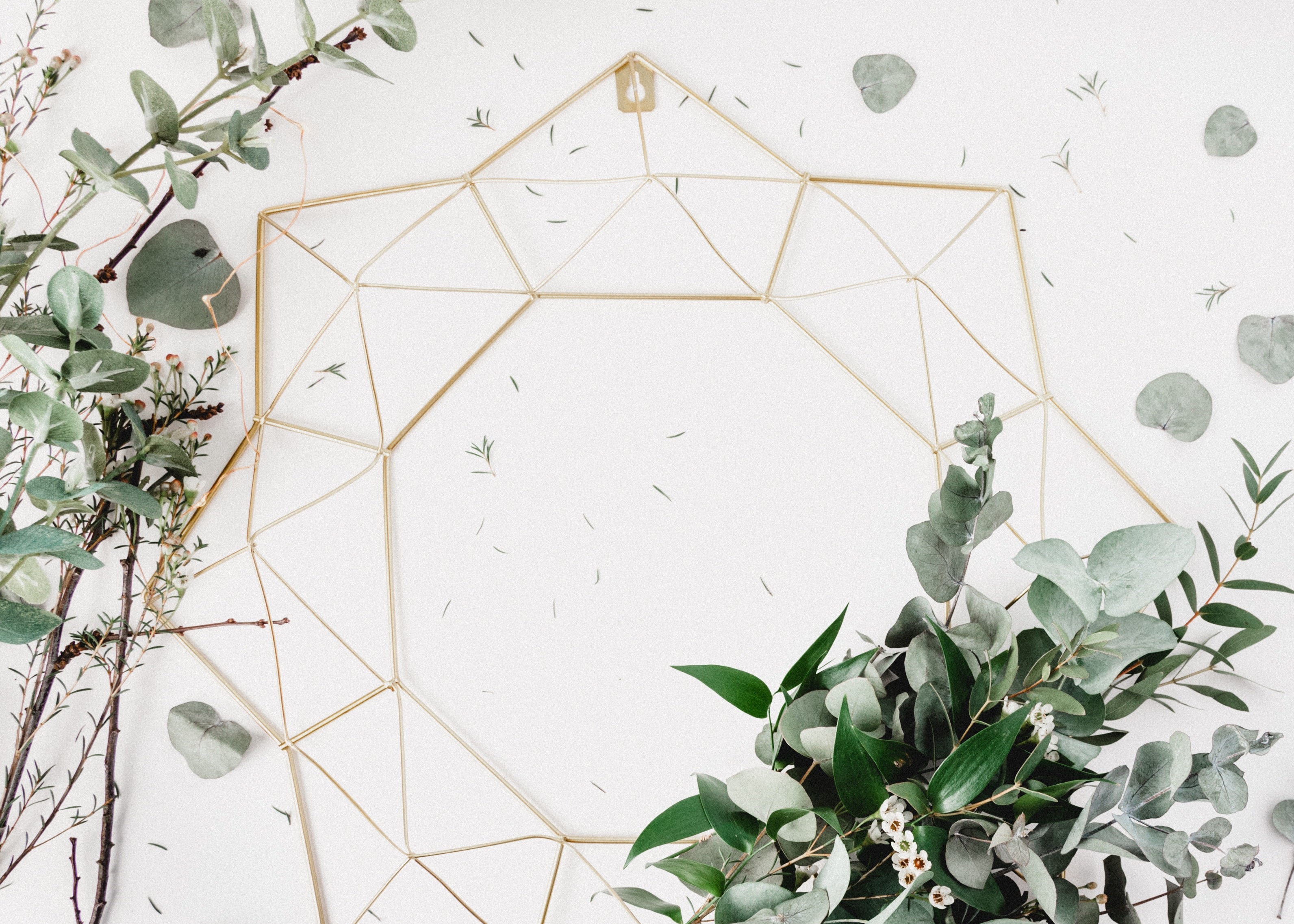 Leaves and petals on a white background