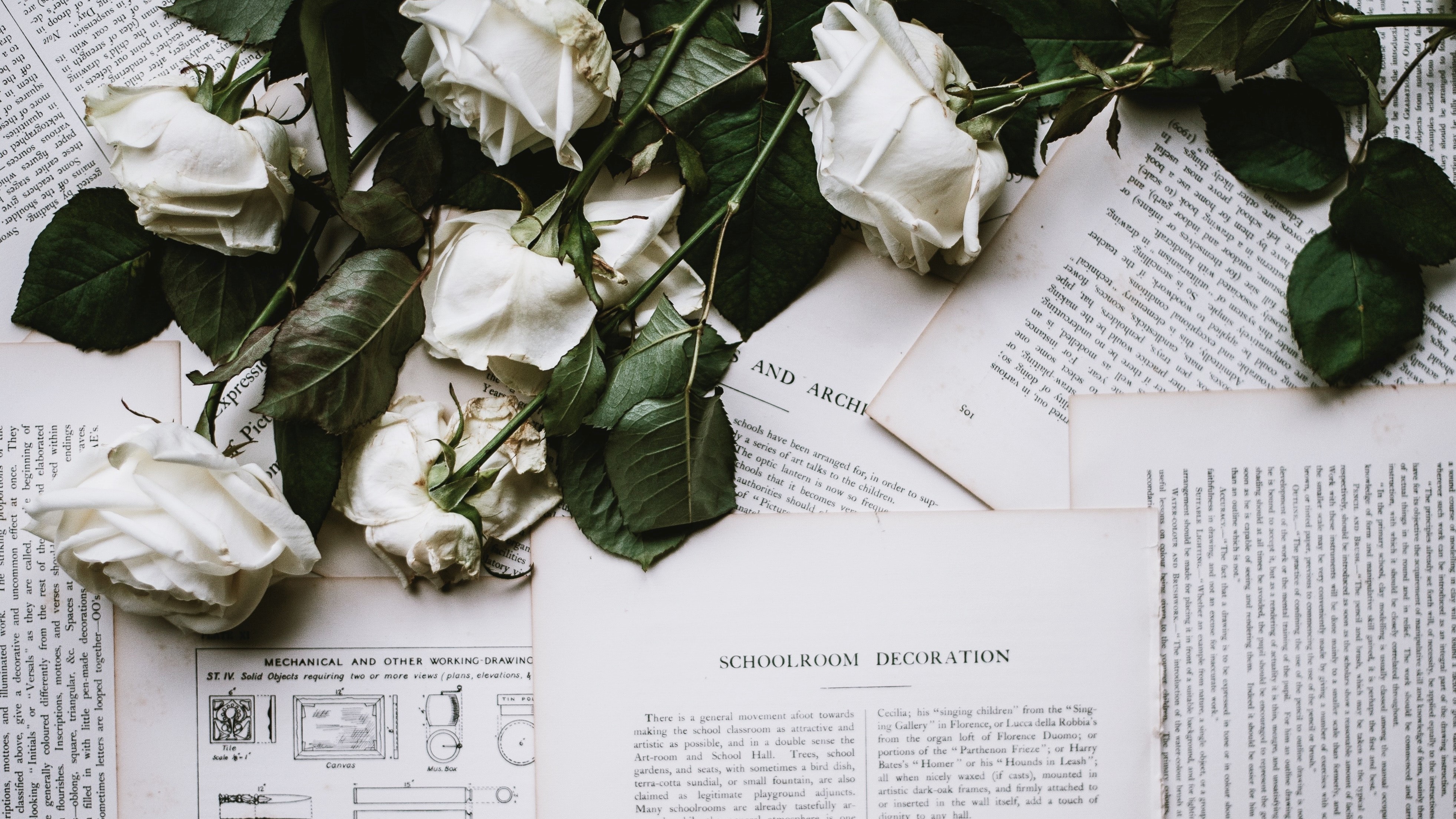 White roses over pages of text