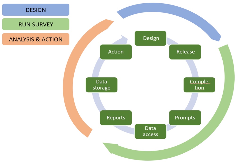 module evaluation workflow