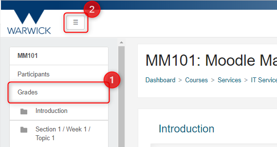 Accessing the gradebook to hide grades