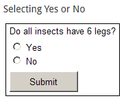 image depicts example of yes no question