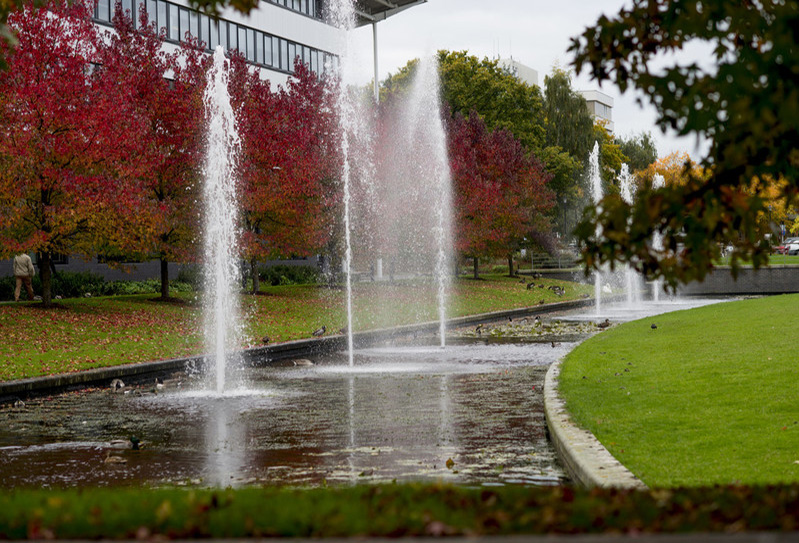 Campus water feature
