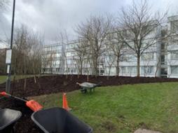 After photo of the grounds near Rootes