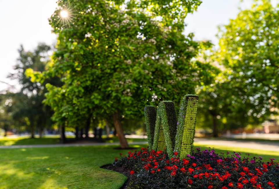 Photo of a freestanding plant sculpture in the shape of a W in a flower bed