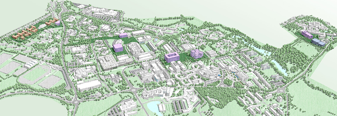 3D image of the hybrid plan sites