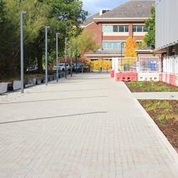 Photo of the path past the NAIC site