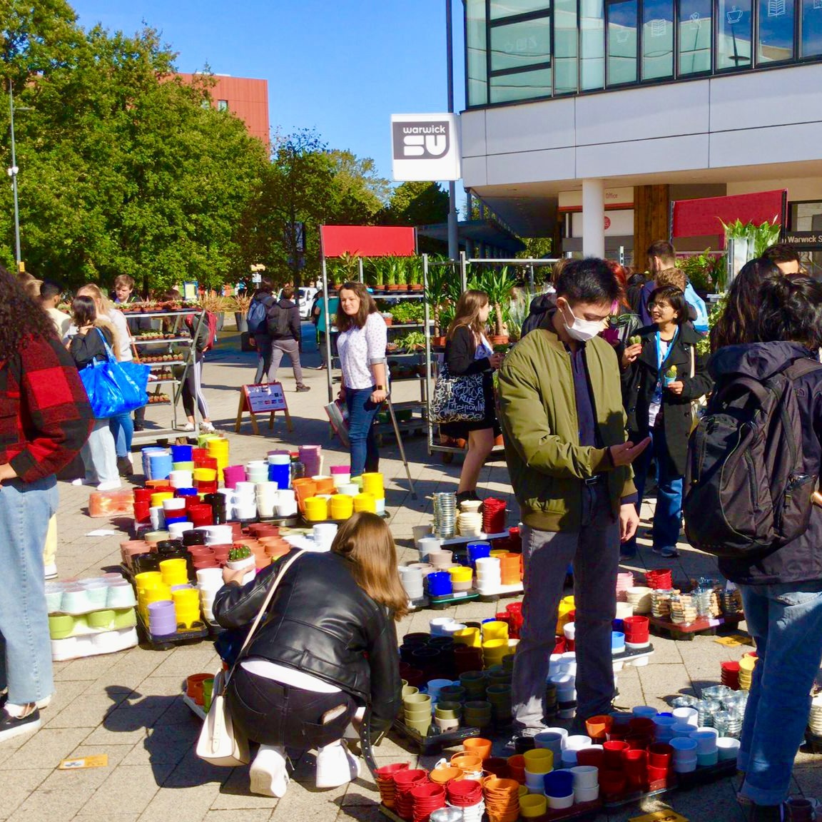 Houseplant sale piazza