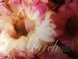 March calendar