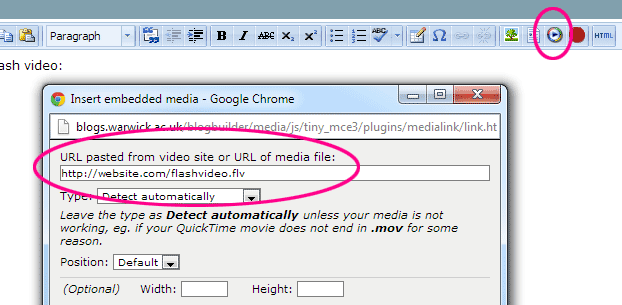 Insert embedded media popup with URL of Flash video file highlighted