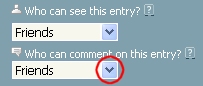 Choosing who can comment on your entry