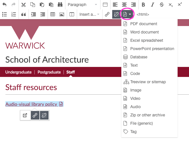 Insert a document icon