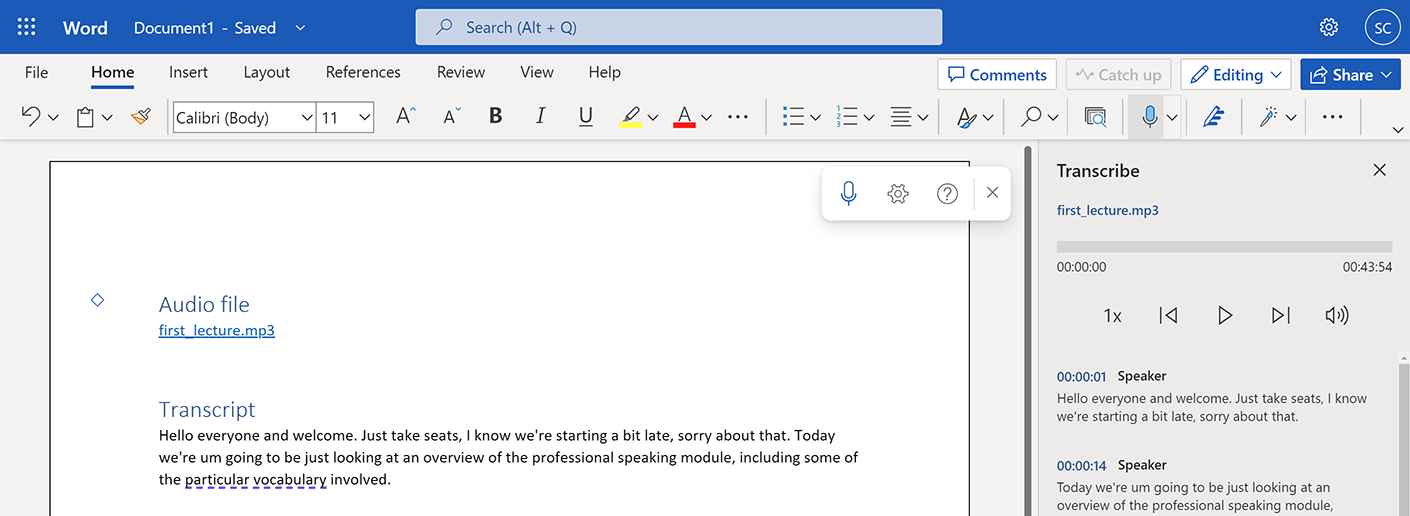 A text-only transcript added to the Word document