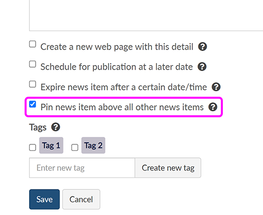 The bottom of the 'Create news item' page, with the checkbox to pin the current item highlighted